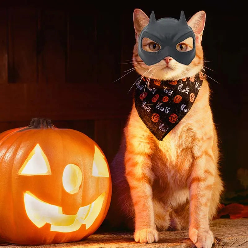 Pet Halloween Bat Mask Costume Set for Cats & Dogs | 1-10 PCS