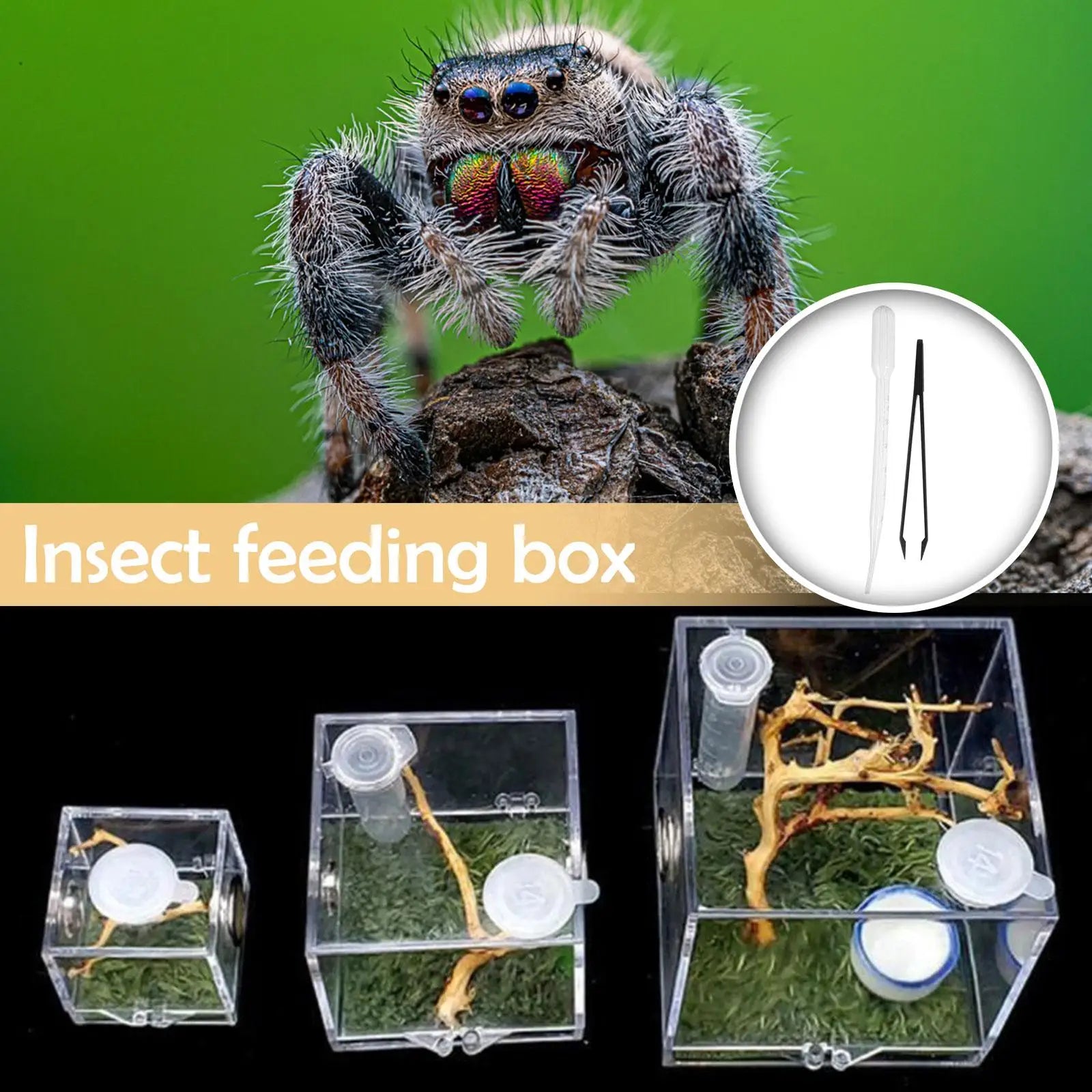 Small Reptile Feeding Box Transparent Acrylic Jumping Spider Breeding Box Habitat Small Insect Container Humidifier Feeding Box Oasis Select