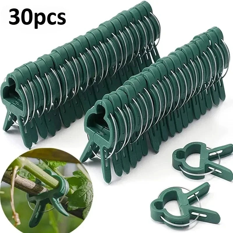 10/30pcs Reusable Garden Plant Clips, Heavy Duty Tomato Vine Fixer, Flexible Stem Support for Cucumber & Flowers, Plant Ties Oasis Select 30pcs