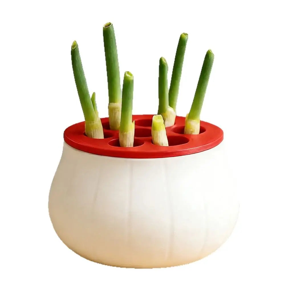 Vertical Hydroponic Green Onion Planter | 7-Hole Space-Saving Hydroponic Planter Oasis Select