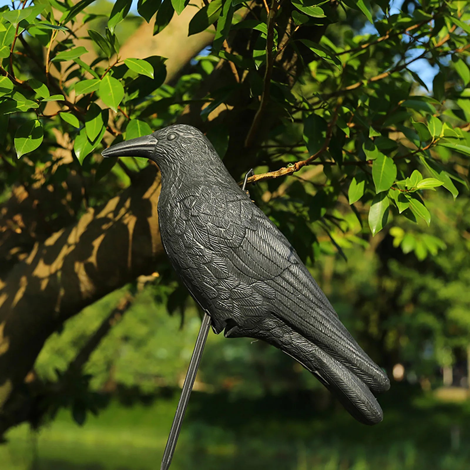 Fake Crow Bird Repellent Decoy – Pigeon & Pest Deterrent Bird Repellent Decoy Oasis Select