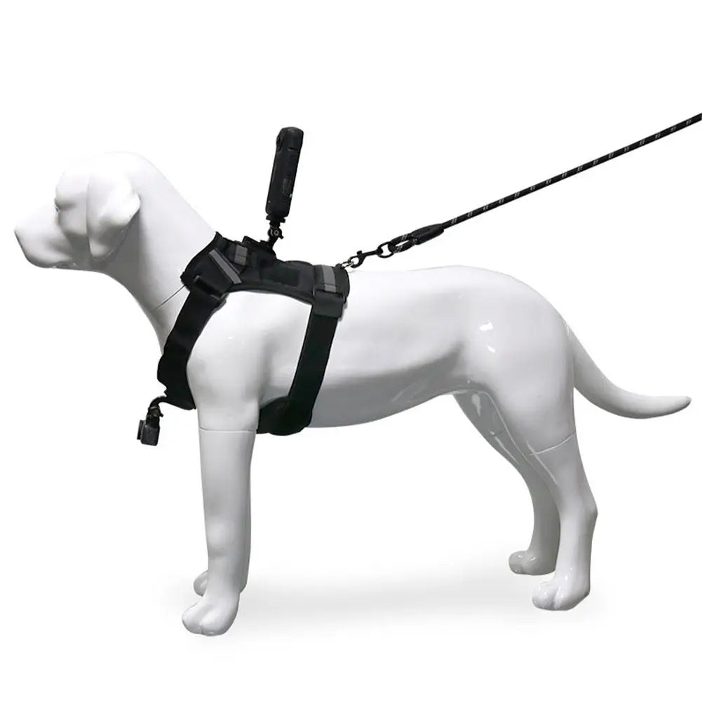 Dog Harness Chest Mount for GoPro & DJI Action Cameras – Pet POV