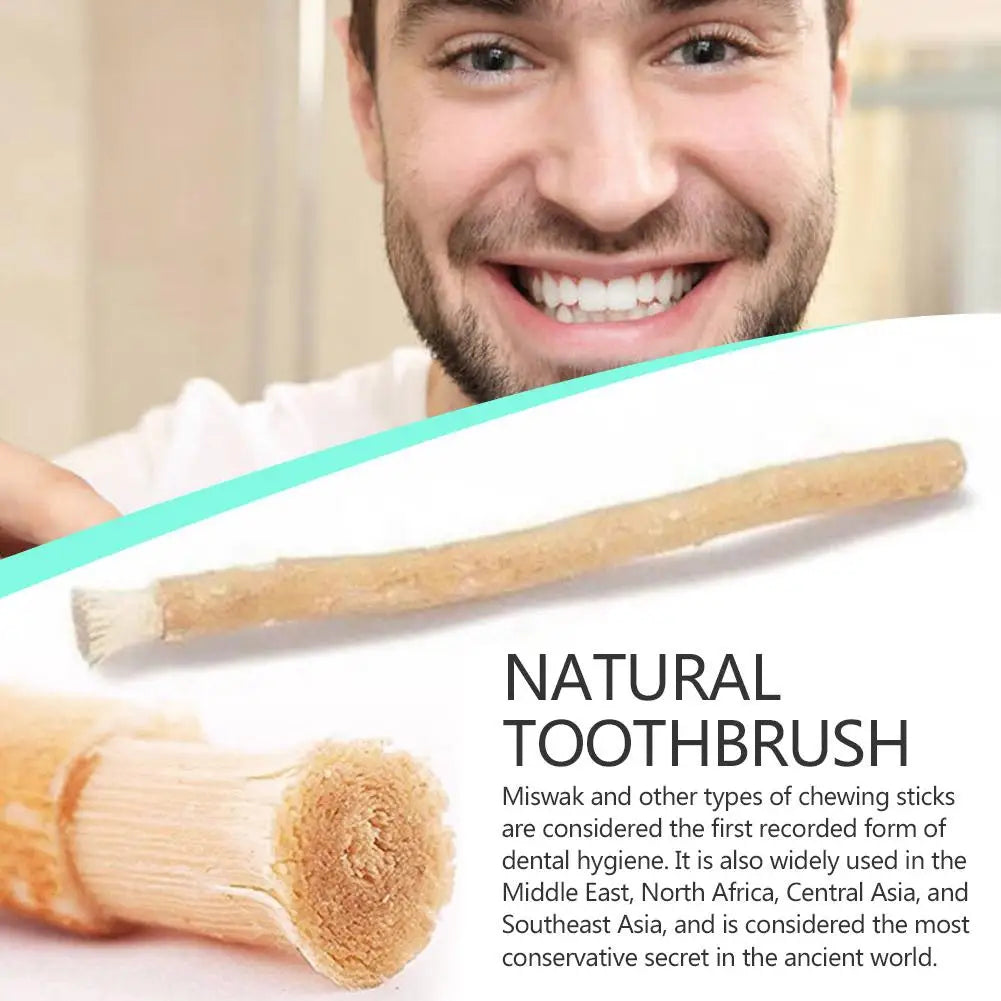 Miswak Natural Toothbrush – Siwak Arak Teeth Whitener Natural Toothbrush Oasis Select