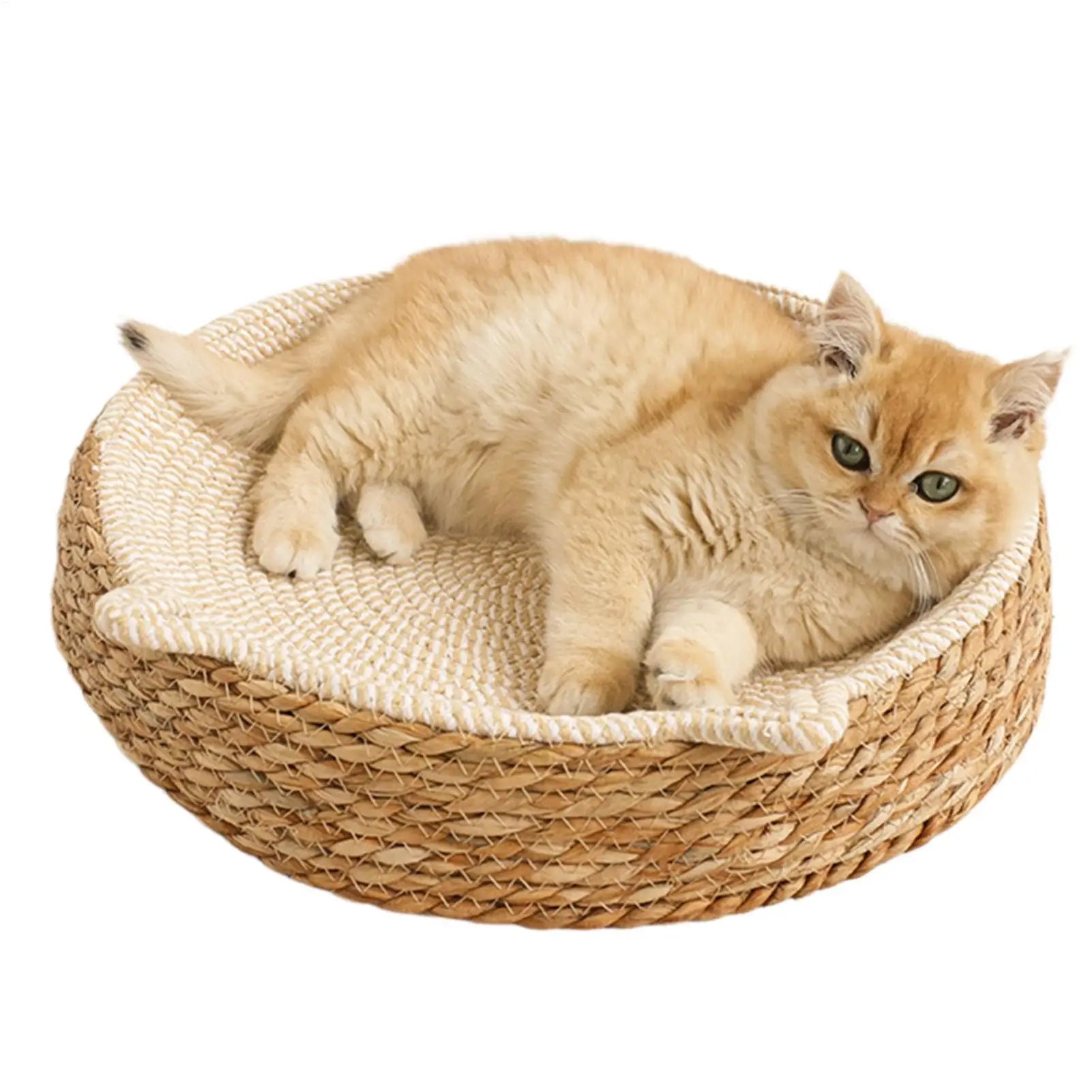 Round Cat Scratcher Breathable Pad Kitten Ear Design Cotton Rope Woven Cat Bed for Play Exercise Enrichment Paws Care Activity Oasis Select