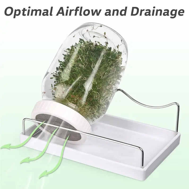 2026-WISH Sprouting Kit For Growing Broccoli, Alfalfa- Includes 2 Wide Mouth Quart Jars With Screen Lids, 32 Oz, Stand And Brush Oasis Select