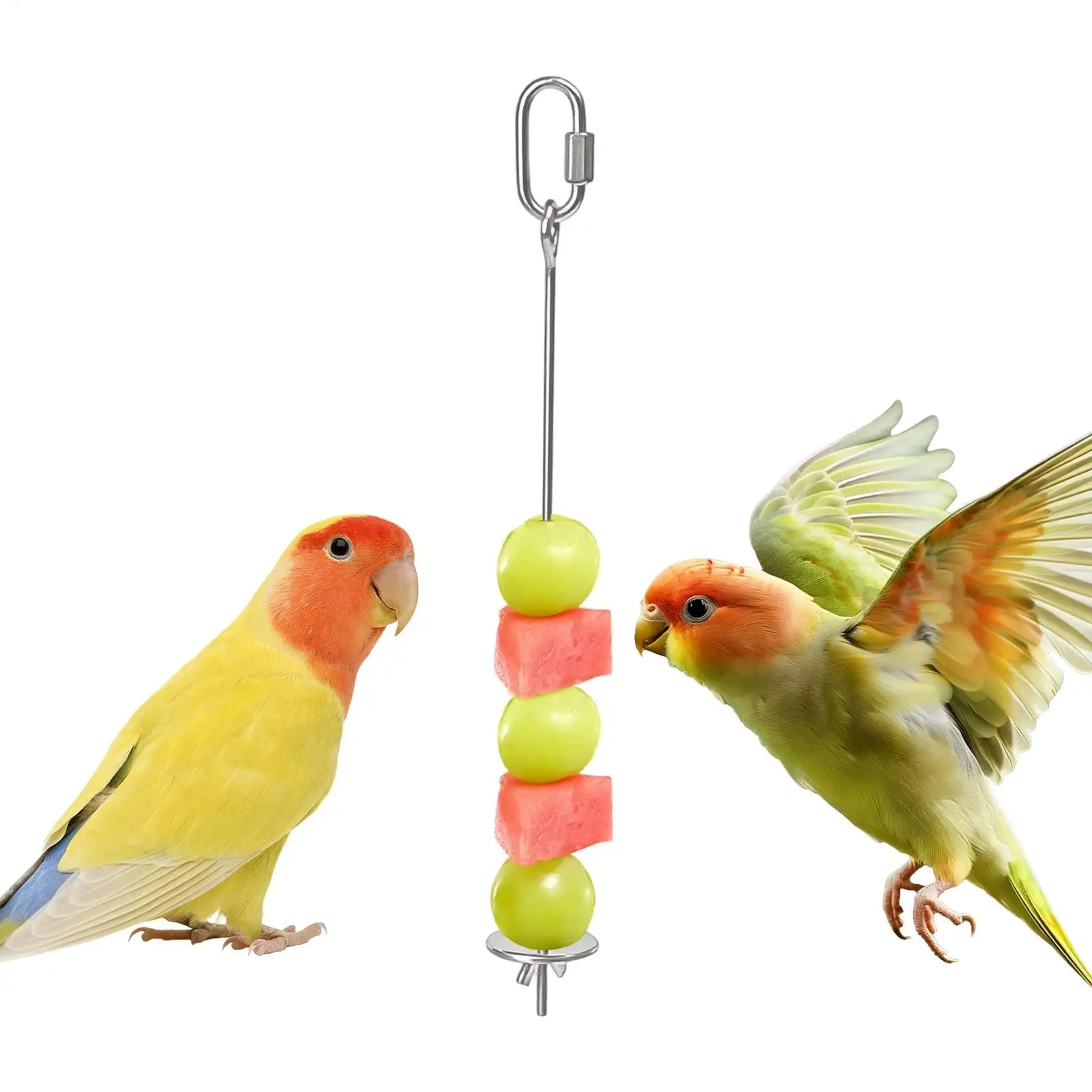 Bird Cage Food Skewer Stainless Fruit Stick Holder Bird Food Holder for Cage Foraging Macaw Parakeet Cockatiel Conure Finch Oasis Select