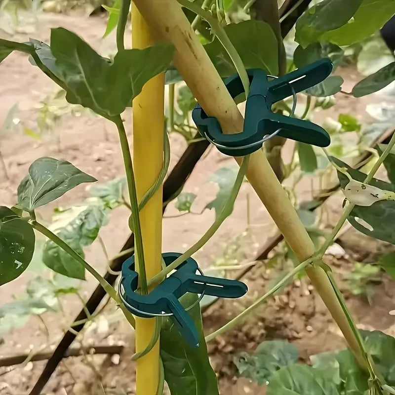 20ps Plant Fixed Clips Reusable Garden Greenhouse Bracket Garden Plants Vine Climbing Clamp Flower Tomato Support Fastener Oasis Select