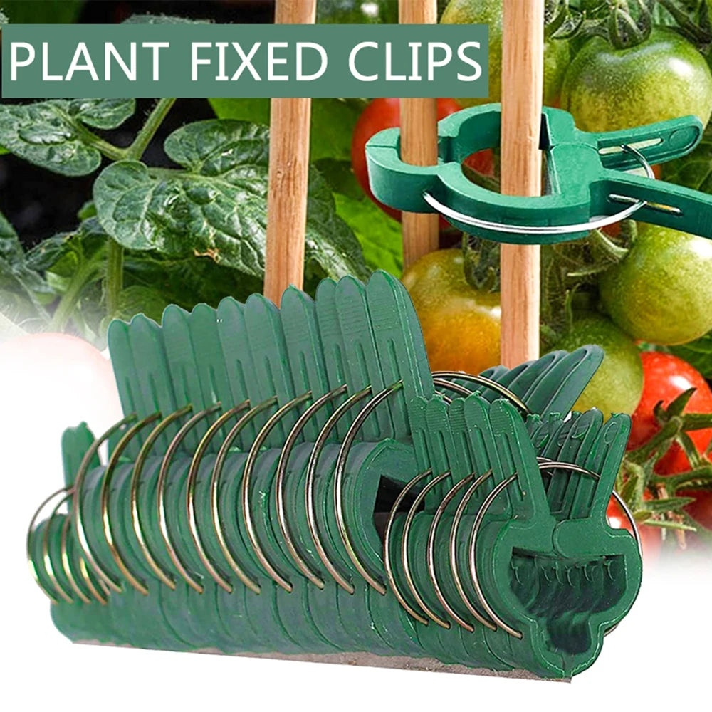 Bundle Plastic Branch Clamping Stakes Connector Vine Support Planting Support Clips Garden Tool Farm Supplies Plant Fixed Clamp Oasis Select