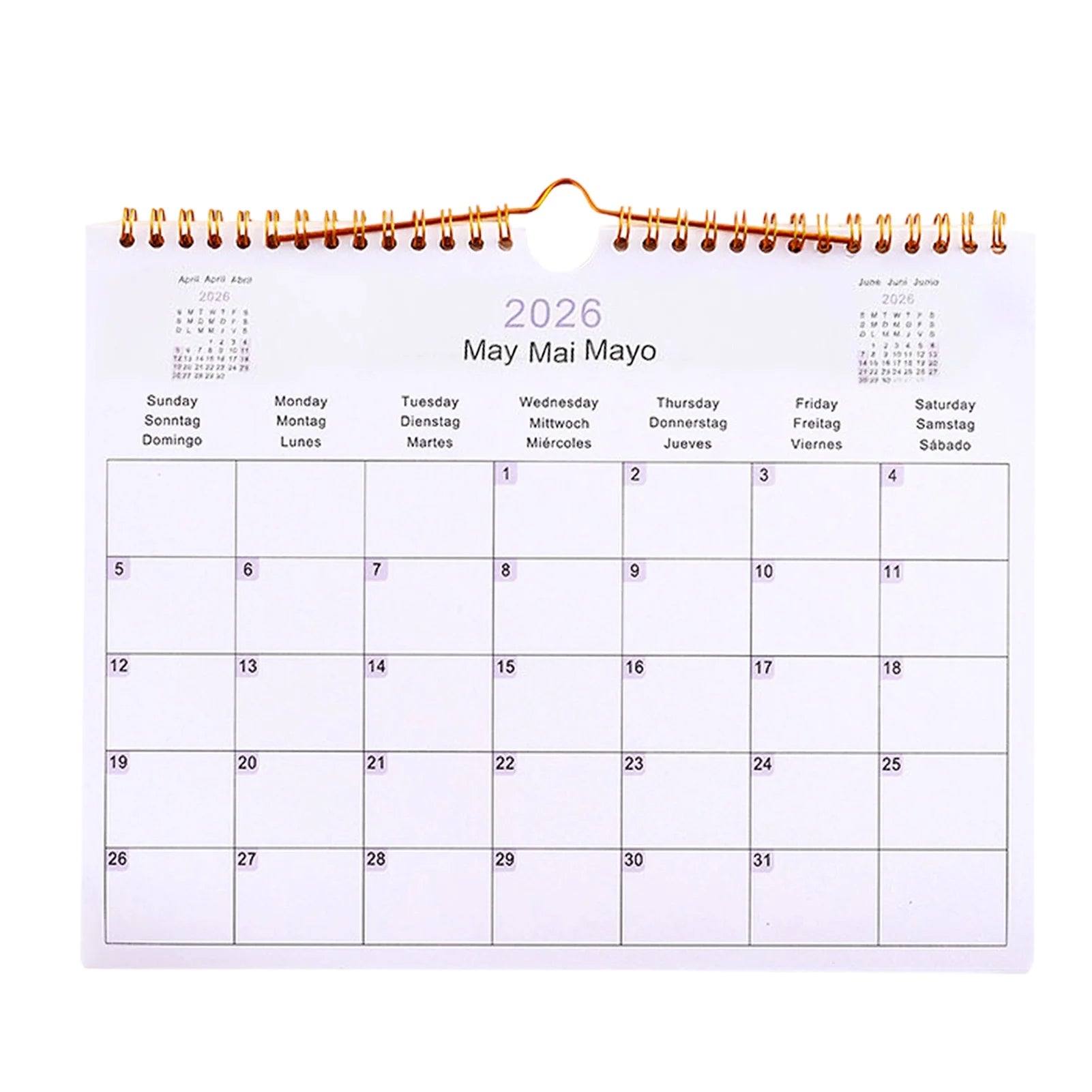 Calendar 2025 20252026 Calendar Planner Multilingual Coil Planner Agenda Organizer Scheduling For Home Office School Classroom Oasis Select 26Horizontal version