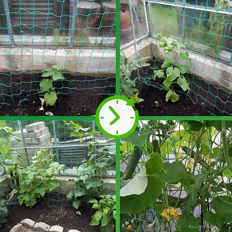 Plant Climbing Net Green Gardening Grid Cucumber Hanging Gourd Climbing Net Bracket Net Wind Resistance Net Oasis Select