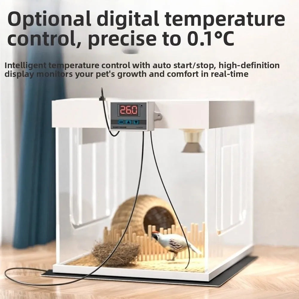 USB Reptile Heating Pad | Waterproof, Thermostat & Timer