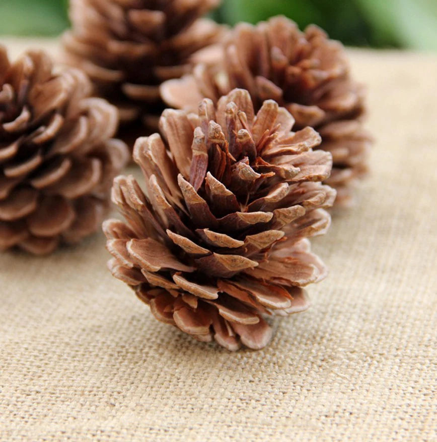 Pinecone Christmas Tree Ornaments 9-Pack | Rustic Wood Decor
