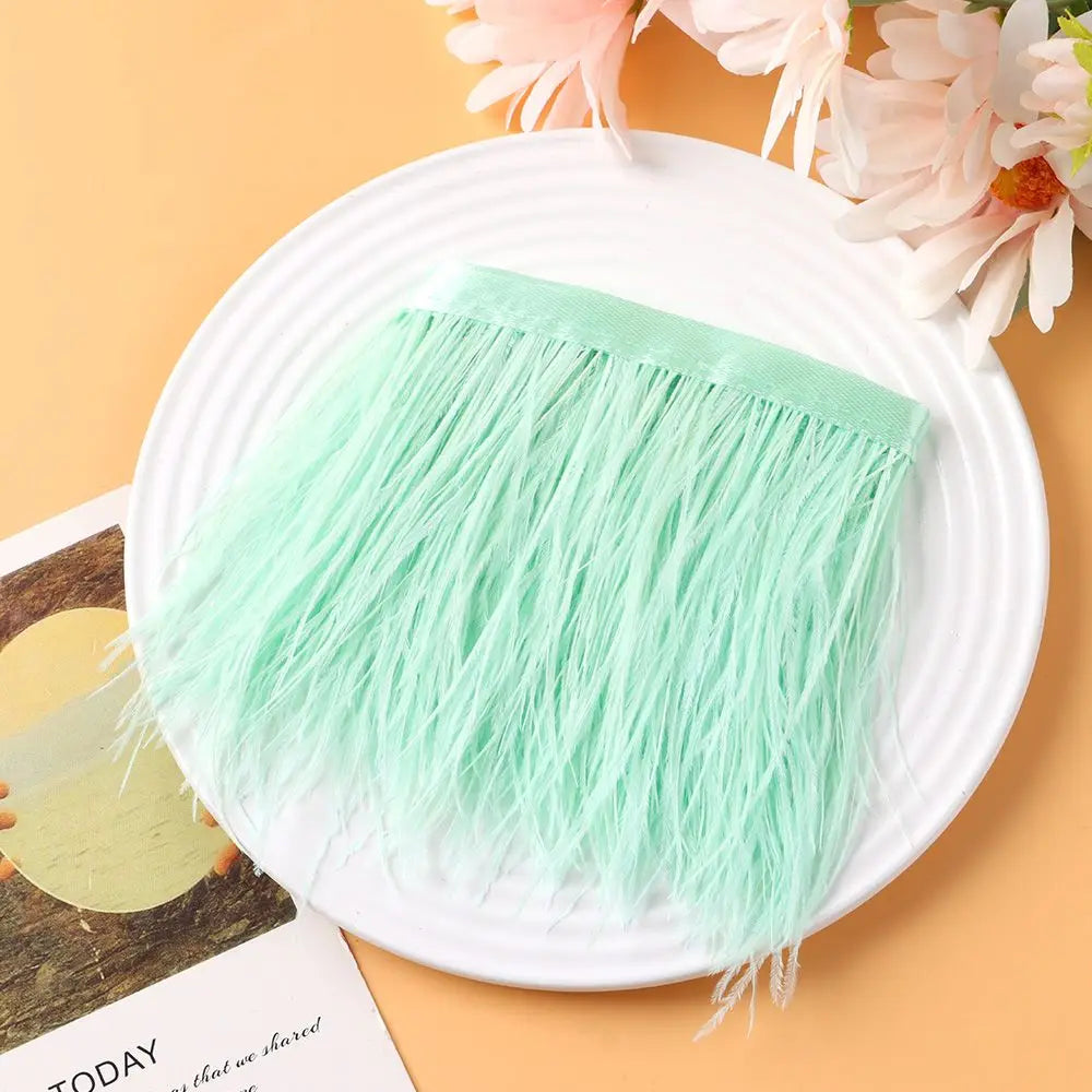 Fashion Ostrich Feathers Trim 1 Meter Long 8-10 CM Wide Plumes Ribbon Selvage DIY Dress Crafts Accessories Feathers Ribbon Oasis Select