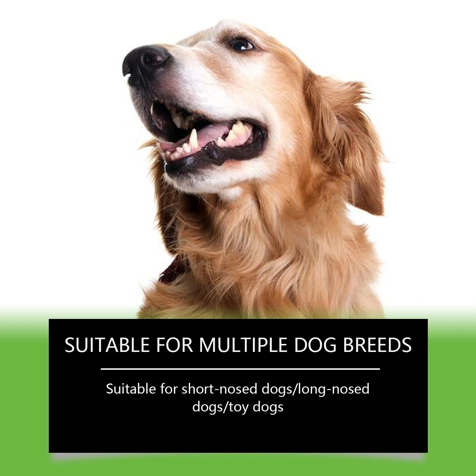 Powder for Dogs Teeth Prevents Tartar Teeth Cleaning Fresh Breath Eliminate Oral Odors Dog Teeth Cleaning Powder with Spoon 100g Oasis Select