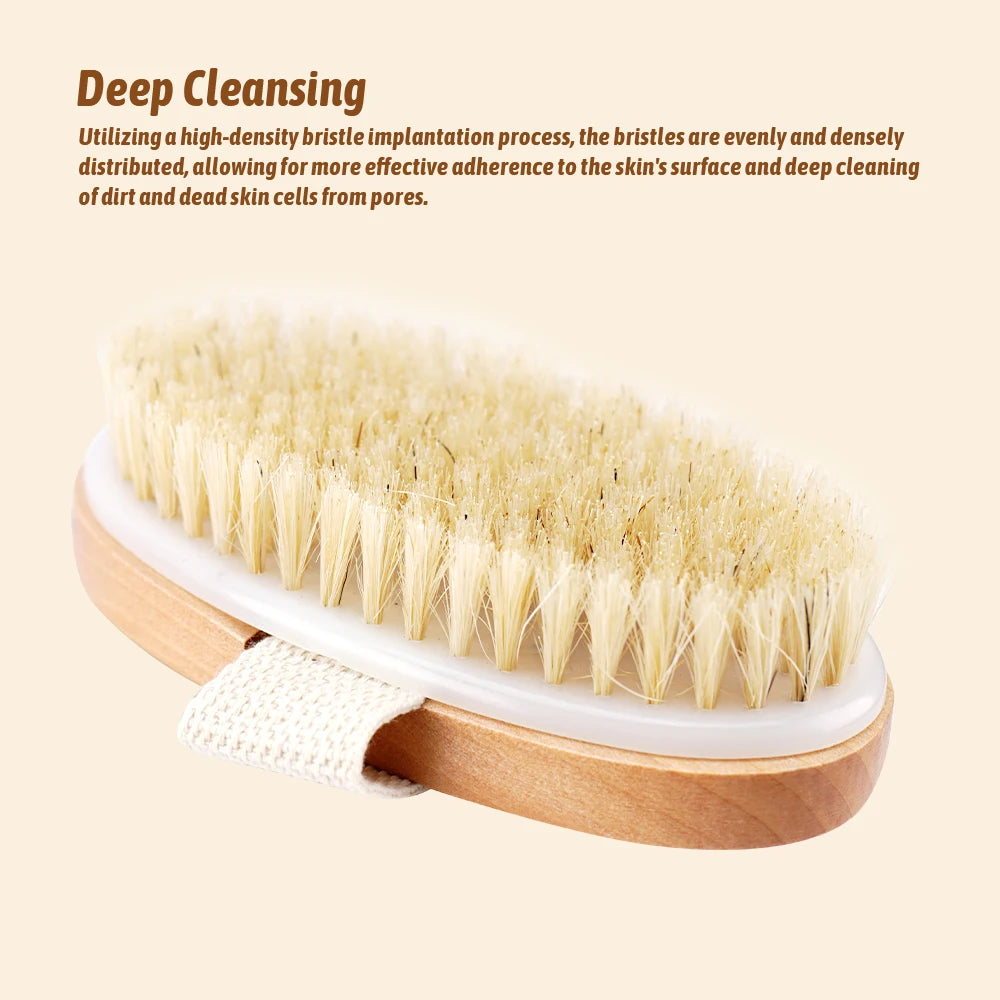 Boar Bristle Beard & Body Brush – Wooden Handle Men's Grooming Beard Grooming Brush Oasis Select