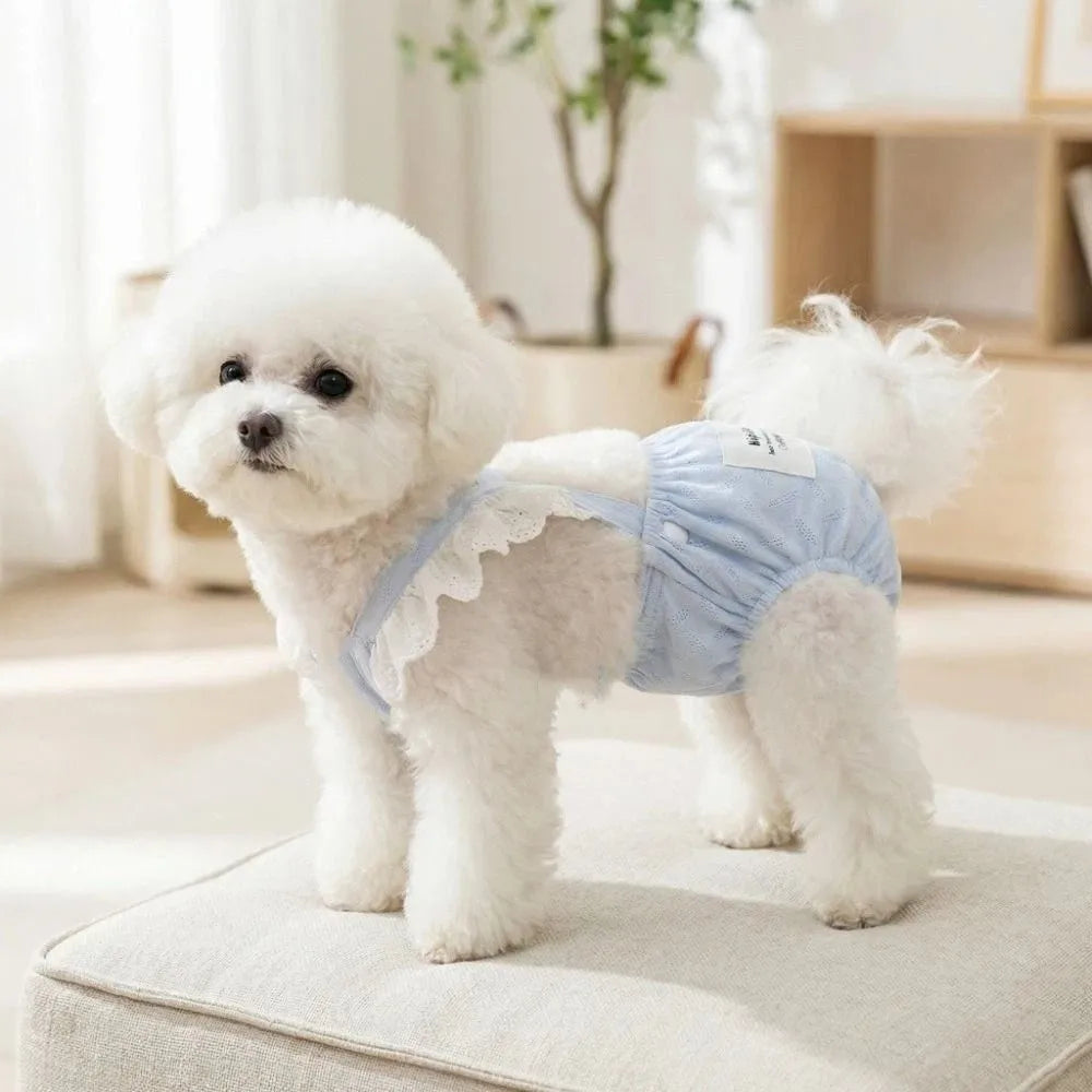 Female Dog Physiological Pants | Breathable Cotton Suspender Shorts Dog Physiological Pants Oasis Select