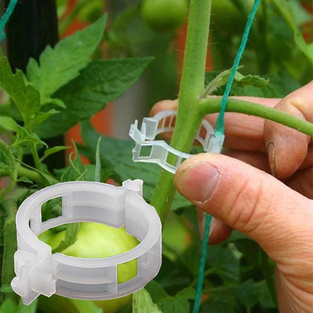 Plant Clips Supports Reusable Plastic Connects Fixing Vine Tomato Stem Grafting Vegetable Plants Orchard and Garden Tools 100PCS Oasis Select