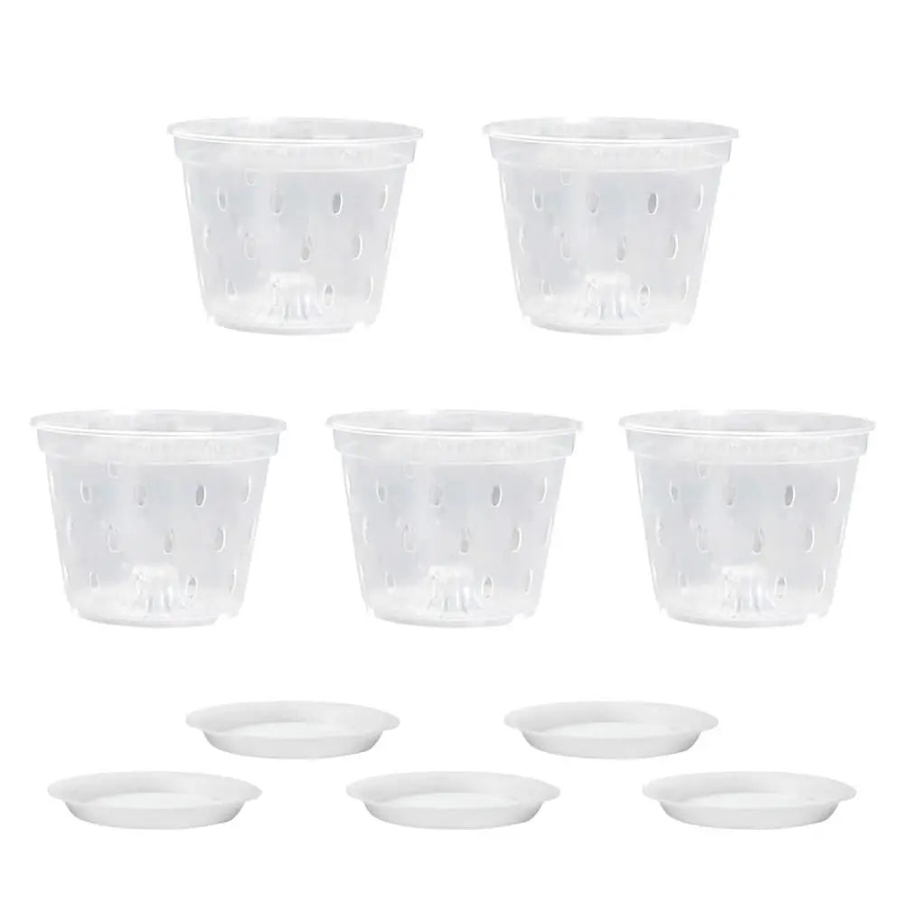 Transparent Orchid Pot with Drainage Holes & Tray | Phalaenopsis