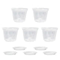 Transparent Orchid Pot with Drainage Holes & Tray | Phalaenopsis