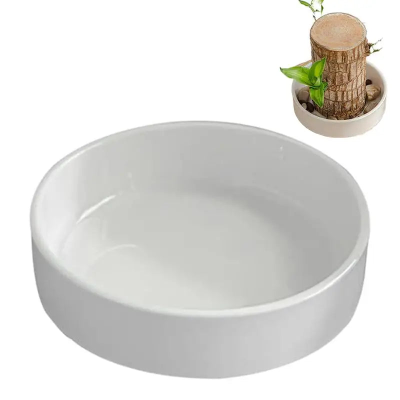 Brazilian Wood Plant Tray Decorative Small Plant Holder Saucer Indoor Tabletop Water Plant Dish For Kitchen Bathroom Living Room Oasis Select