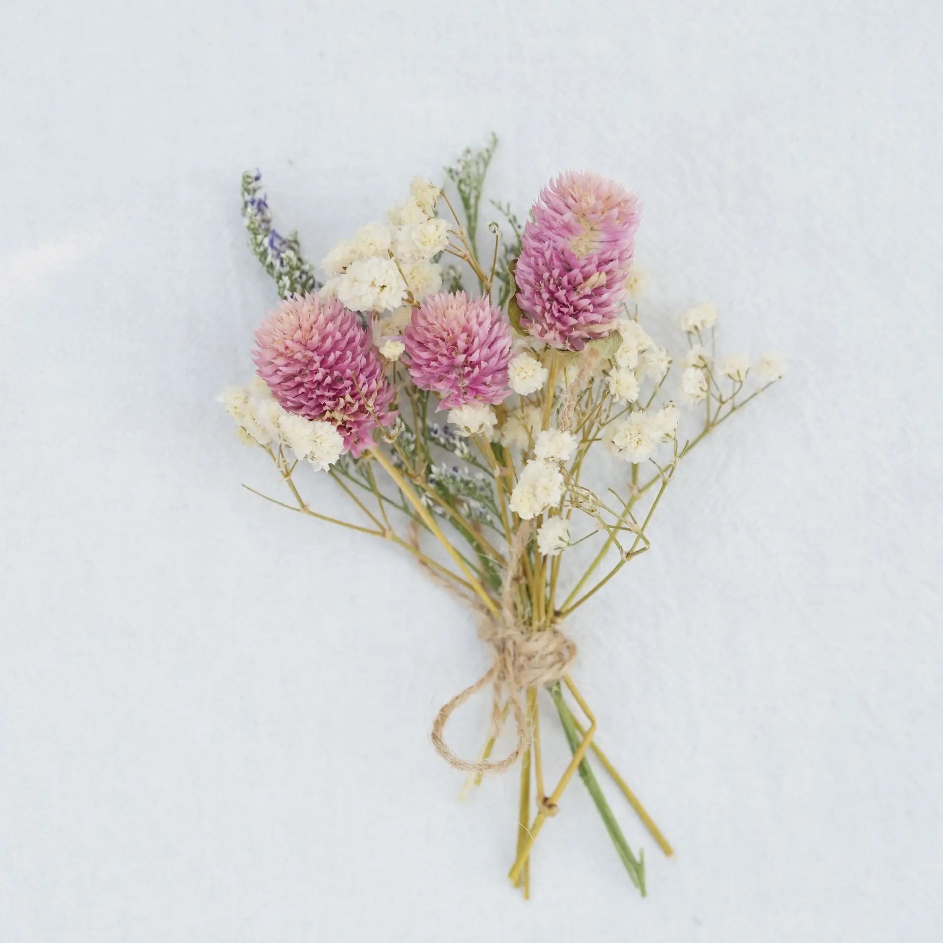 Dried Flower Bouquet High-Quality Fingertip Bouquet Greeting Card Decoration Versatile Diy Flower Kit For Diy Projects Event Oasis Select 19