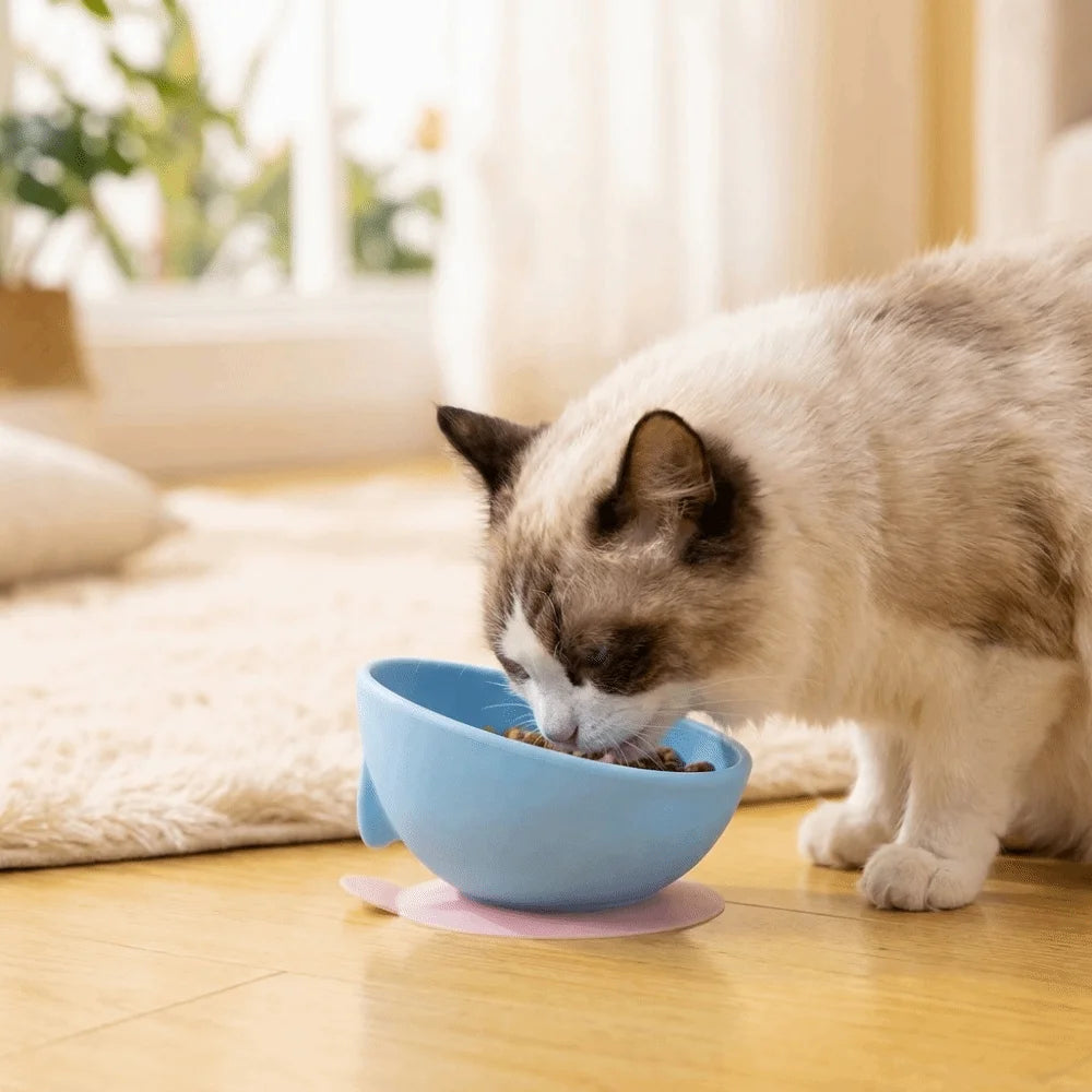 Silicone Suction Cup Pet Bowl – Anti-Spill Slow Feeder