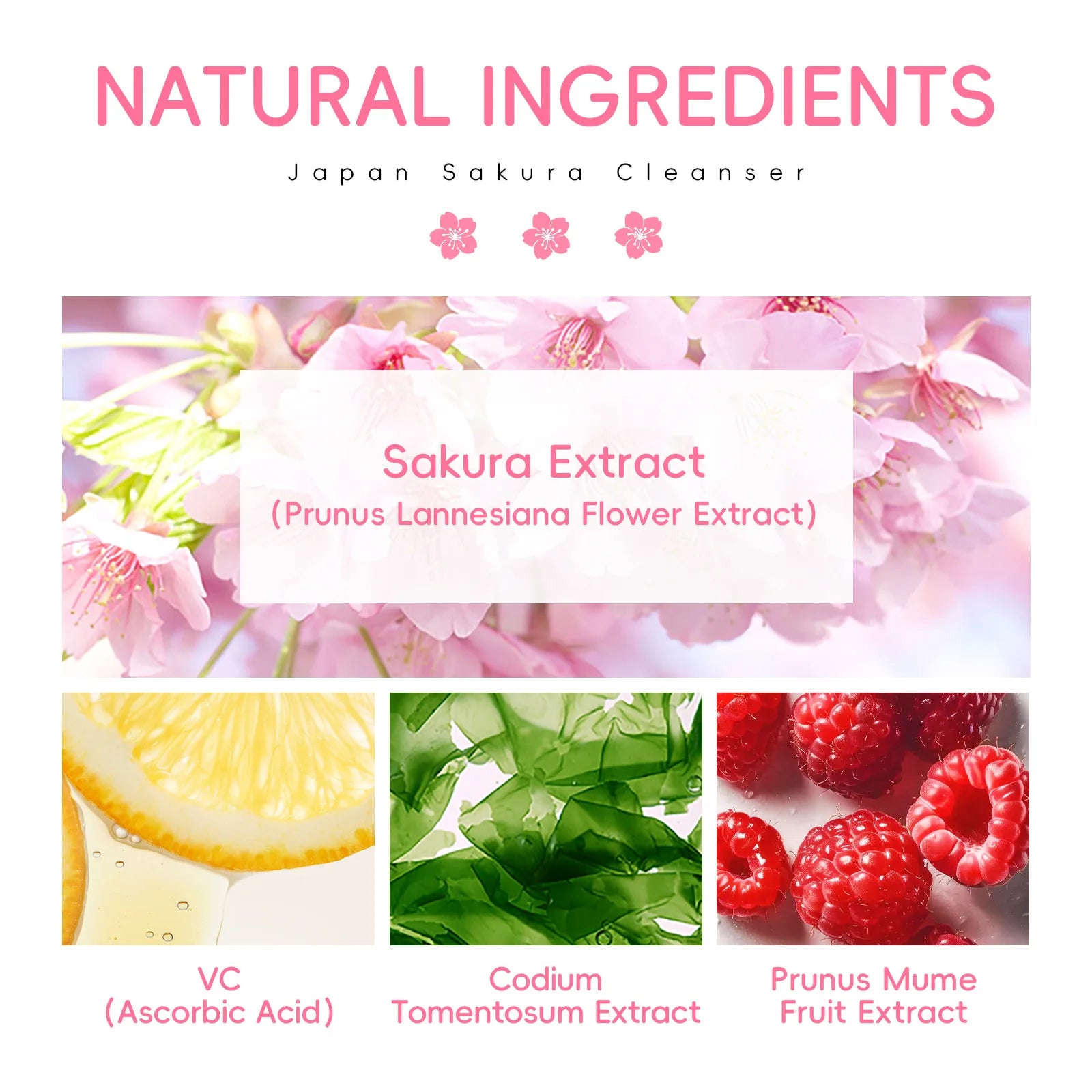 LAIKOU Sakura Facial Cleanser Foam Face Wash Remove Blackhead Moisturizing Shrink Pores Deep Cleaning Oil Control Skin Care 50g Oasis Select