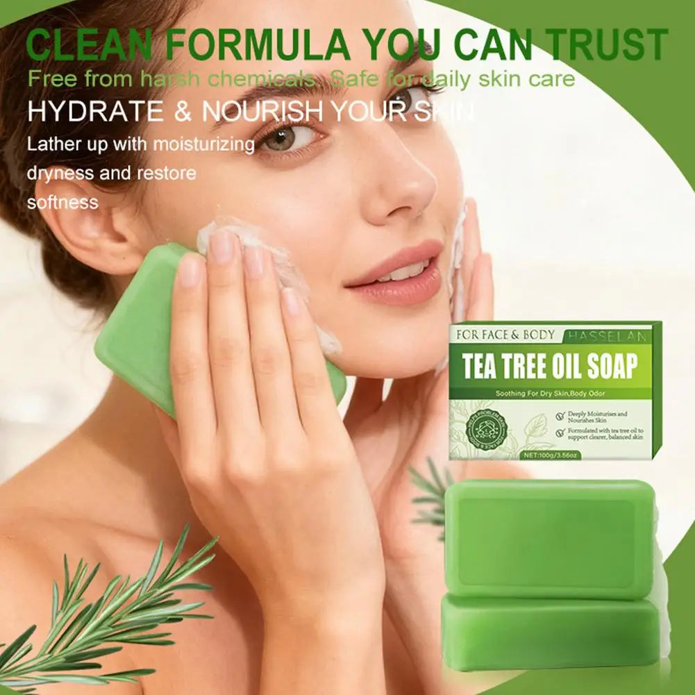 Tea Tree Soap for Face & Body Acne, 100g Tea Tree Oil Soap Bar for Face & Body Natural Skin Cleanser for Oily, Dry & Itchy Skin Oasis Select