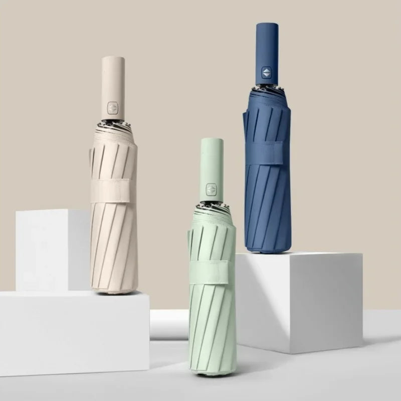 Morandi Fully Automatic Umbrella Black Glue Sunscreen Sun Umbrella Plus Sun Umbrella Wholesale Oasis Select
