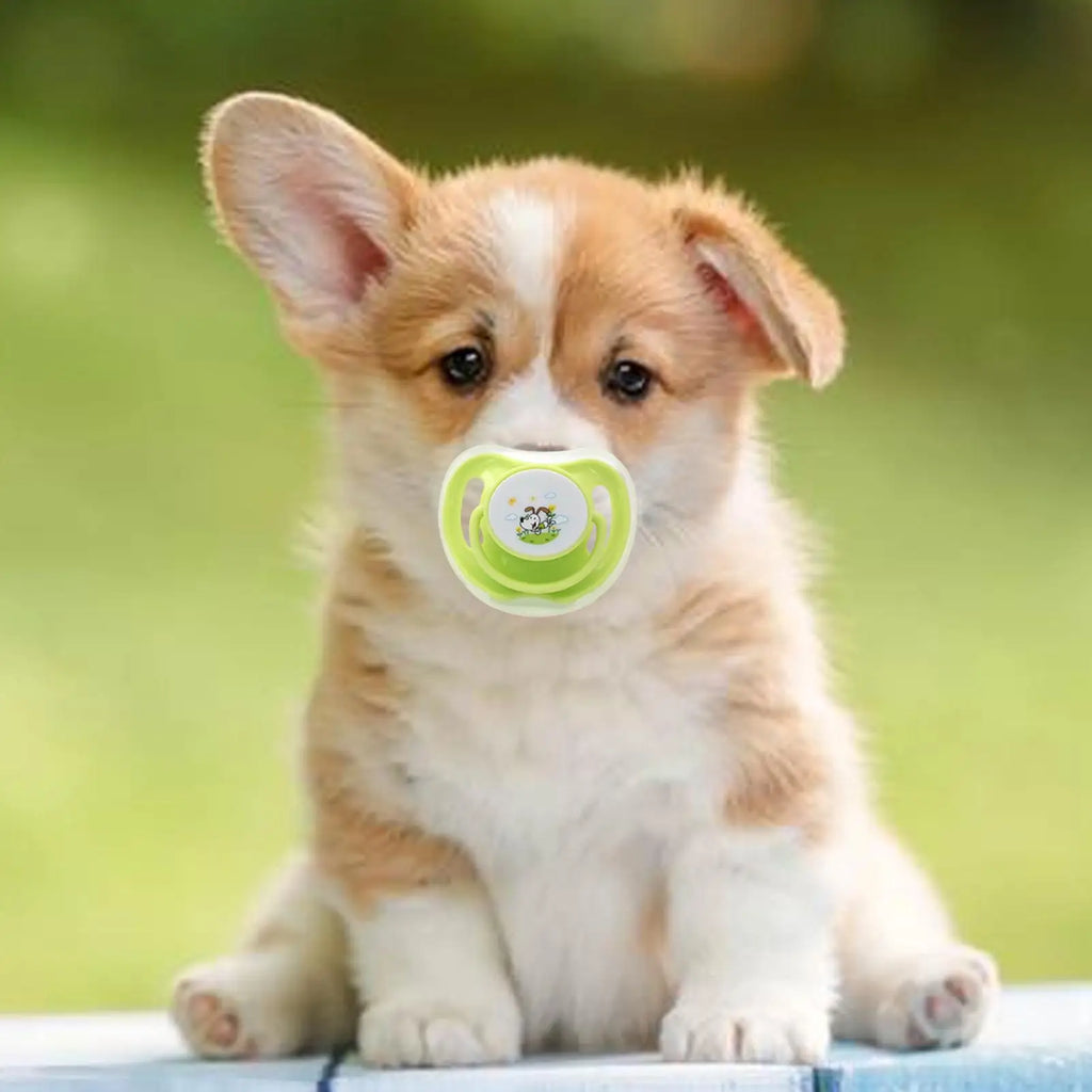 Kitten Pacifiers for Suckling Small Cat Dog Pacifiers 4 Pcs Pet Animals Soothing Companion Butterfly-Shaped for Calming Soothing Oasis Select