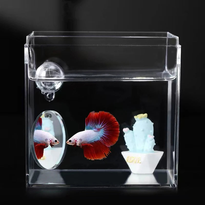Aquarium Betta Mirror Fish Tank Floating Round Mirror for Fish Betta Flowerhorn Cichlid Training Oasis Select