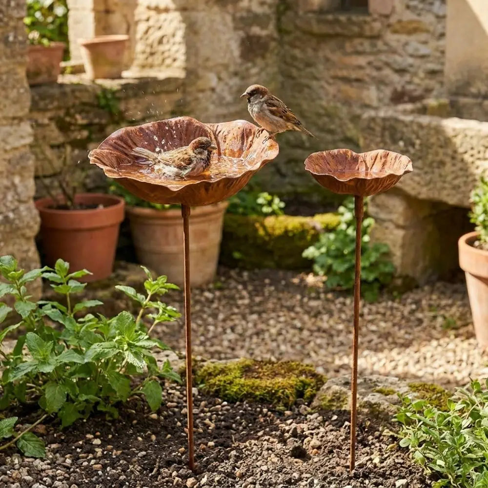 Flower Shape Metal Bird Bath Rusted Vintage Iron Art Bird Water Dispenser Handcrafted Ground Insert Flower Garden Stake Oasis Select