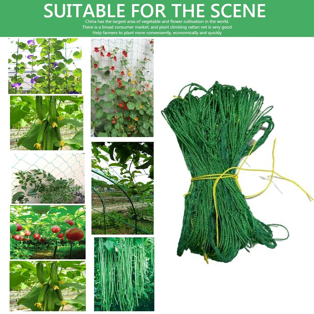 Multifunctional Climbing Rattan Net Green Gardening Lattice Net Heat-resistance Vine Climbing Rack Net for Cucumbers Watermelons Oasis Select
