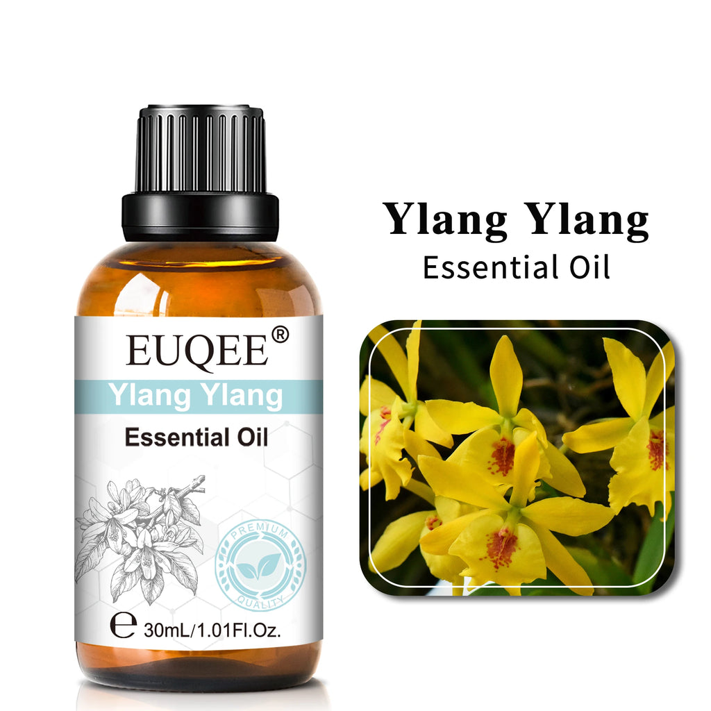 EUQEE 30ml Aromatherapy Essential Oil | Diffuser & Reed Oil