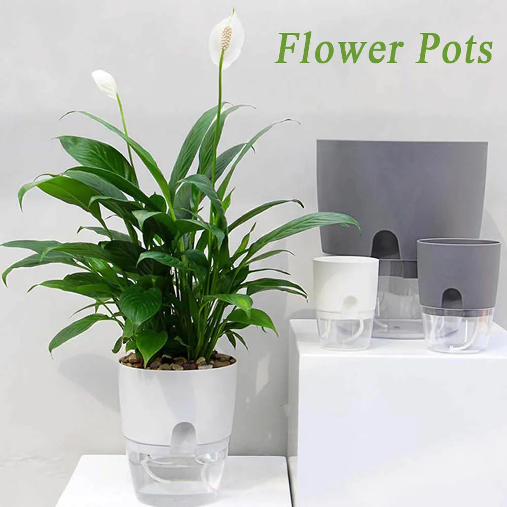 Indoor Table Purifying air Garden Supplies Green Dill Office Succulents Auto Irrigate Flower Pots Home Decor Plant Pot Planters Oasis Select