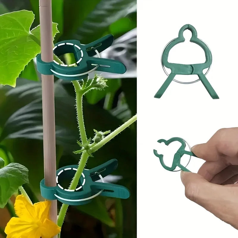 10/30pcs Reusable Garden Plant Clips, Heavy Duty Tomato Vine Fixer, Flexible Stem Support for Cucumber & Flowers, Plant Ties Oasis Select