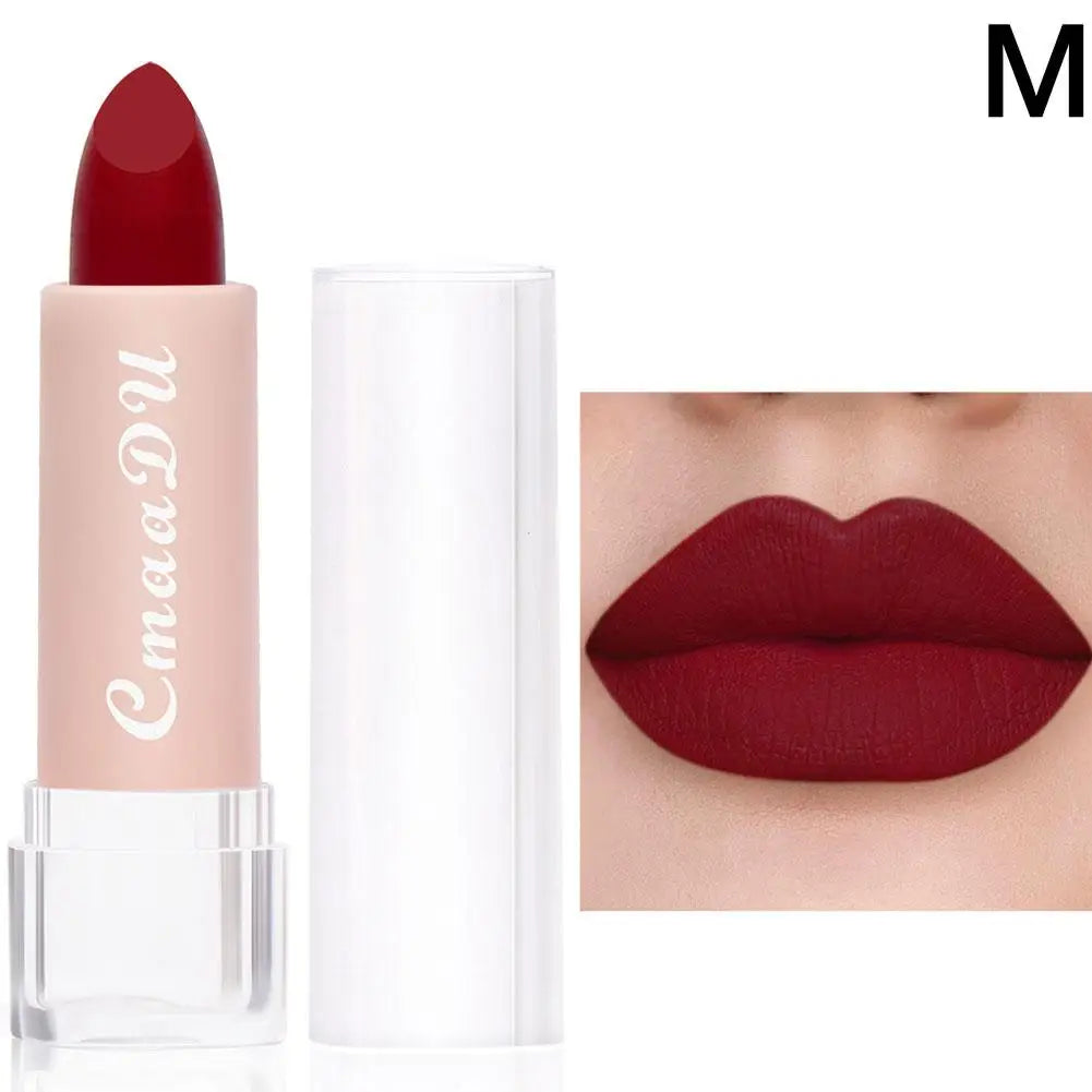 CmaaDu 15 Colour Moisturizing Matte Velvet Lipstick Easy To Color Waterproof Long Lasting Nude Lipstick Lipgloss Makeup Cosmetic Oasis Select 13
