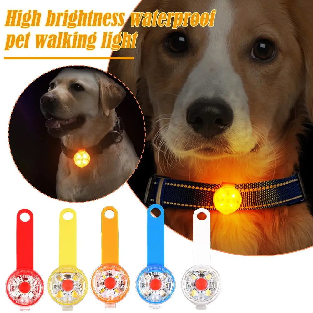 Rechargeable LED Dog Collar Light – Waterproof Night Safety Pendant