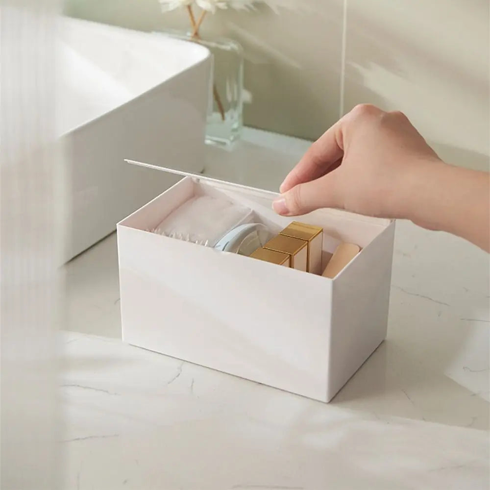 Flip-Top Cotton Swab & Toothpick Storage Box | Clear Plastic