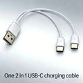 2 in 1 USB-C Charging Cable For Battery And other device Oasis Select 1 USB-C Cable