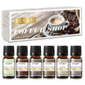 EUQEE 6-Piece Fragrance Oil Set – Reed Diffuser & Candle Making
