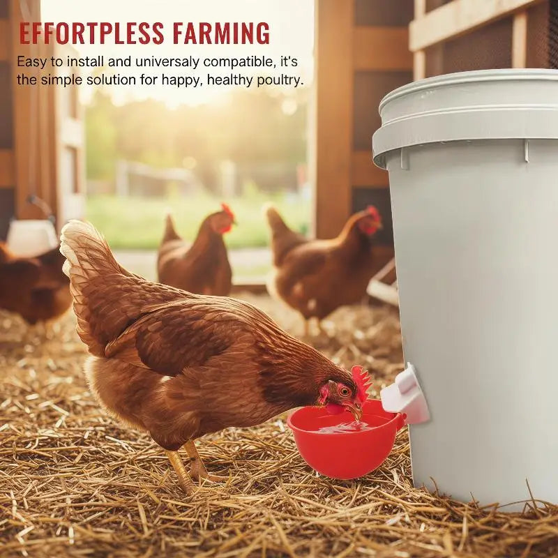 5-Pack Automatic Chicken Waterer Cups | Poultry Drinker Bowls