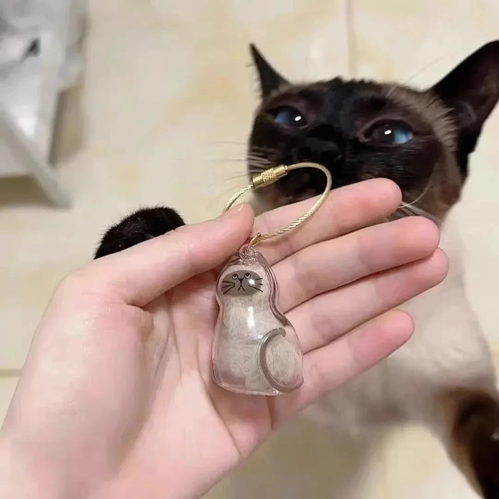 Transparent Cat and Dog Hair Storage Box, Pendant, Gashapon, Cat Hair Storage Capsule, Gashapon Bag, Keychain, Hanging Accessory Oasis Select Sitting Siamese cat