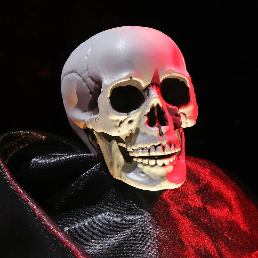 1PC All Size Party Decoration Home Decor Halloween Props Human Skeleton Skull Head Hanging Decor Oasis Select