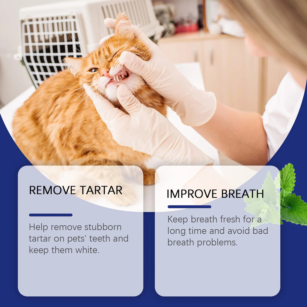 Pet Teeth Cleaning Powder for Dog and Cat Teeth Cleansing Remove Tartar Odor Reduce Bad Breath Keep Fresh Pet Dental Care 40g Oasis Select