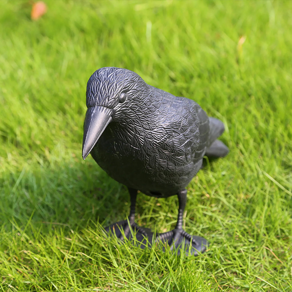 Fake Crow Bird Repellent Decoy – Pigeon & Pest Deterrent Bird Repellent Decoy Oasis Select