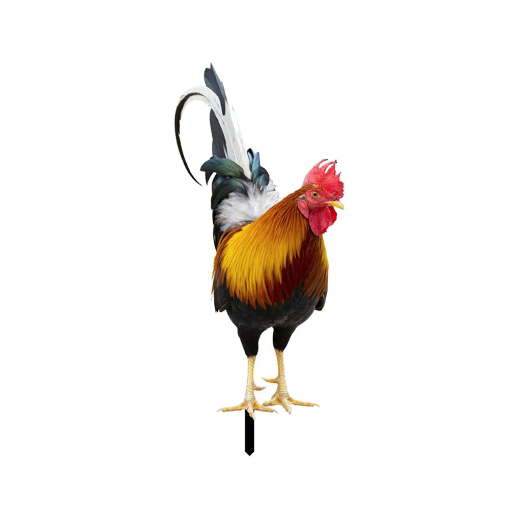 2D Flat Garden Statues Ornaments For Hen Chicken Decorations Sculptures Yard Art Outdoor Decorations Rooster Statue Art Deco Oasis Select 1PC 2 One Size