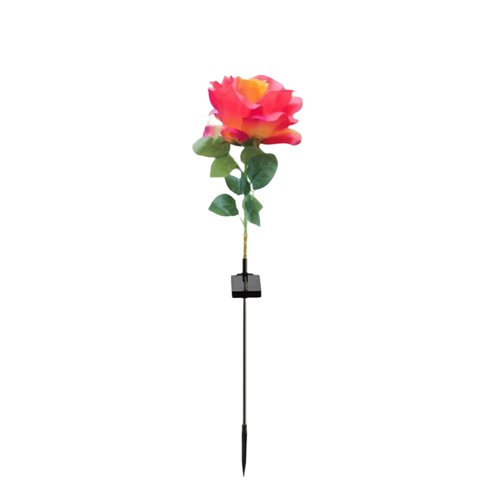 Solar Rose Garden Stake Light | 8 Modes, IP65, 80cm Tall