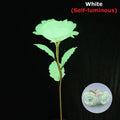2024 Luminous Rose Valentine's Day Present Gifts Eternal Rose Flower Simulation 24k Gold Foil Rose Mother's Day Gifts Oasis Select White
