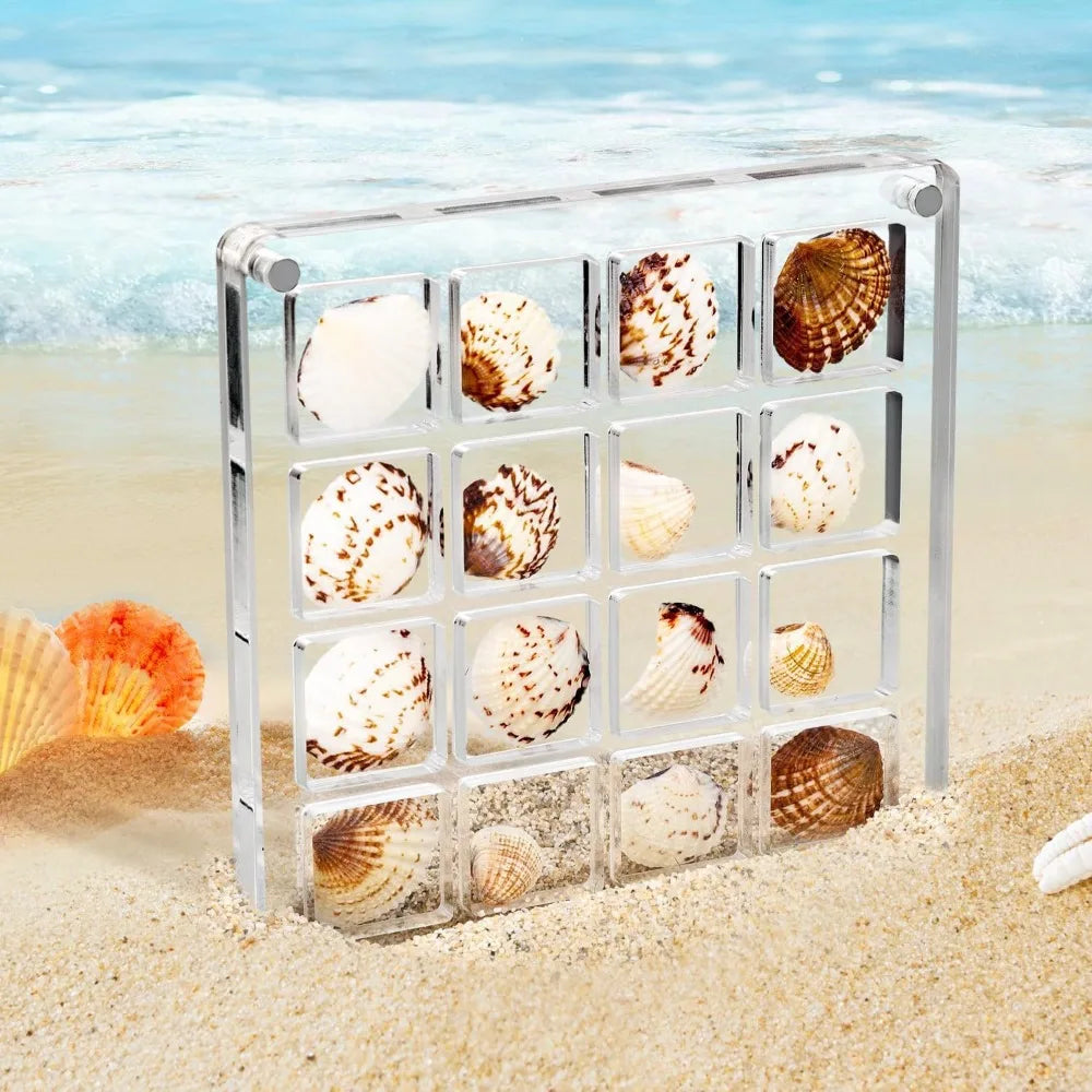 16-Grid Seashell Display Box with Magnets Acrylic Storage Display Organizer Box Durable Starfishs Trinket Storage Case Oasis Select